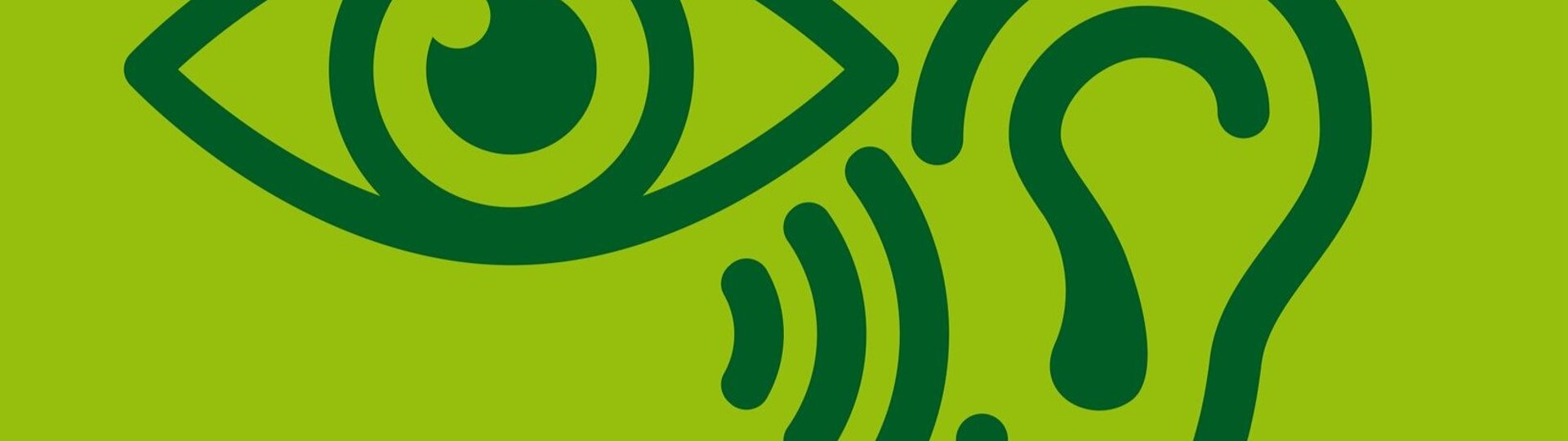 Dall'immagine al suono. Lezioni concerto